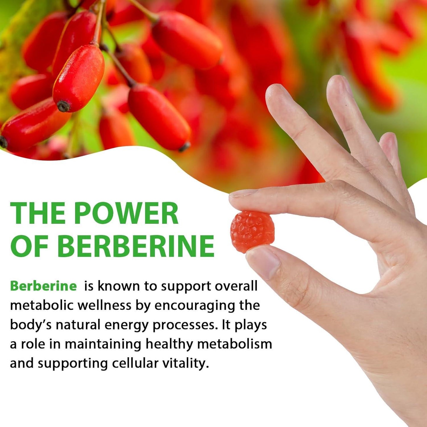 Berberine Gummies with Ceylon Cinnmon, Berberine Supplement for Digestive Health, Immune System, Aid Overall Health & Vitality, 60p