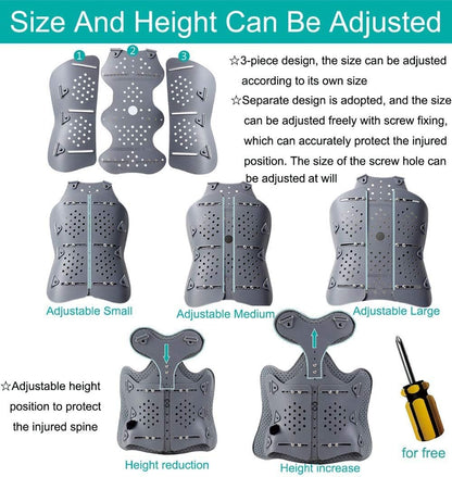 Thoraco-Lumbar Fixed Spinal Orthosis, Scoliosis , Thoracic Back Brace, Used for Kyphosis 501