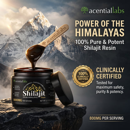 Pure Himalayan Shilajit Resin 60g