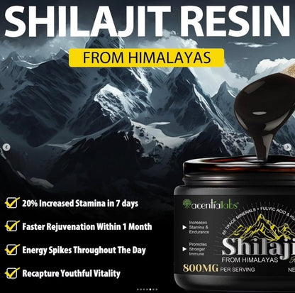 Pure Himalayan Shilajit Resin 60g